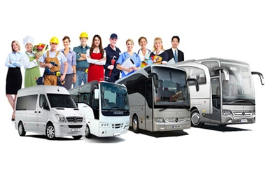 Organizasyon